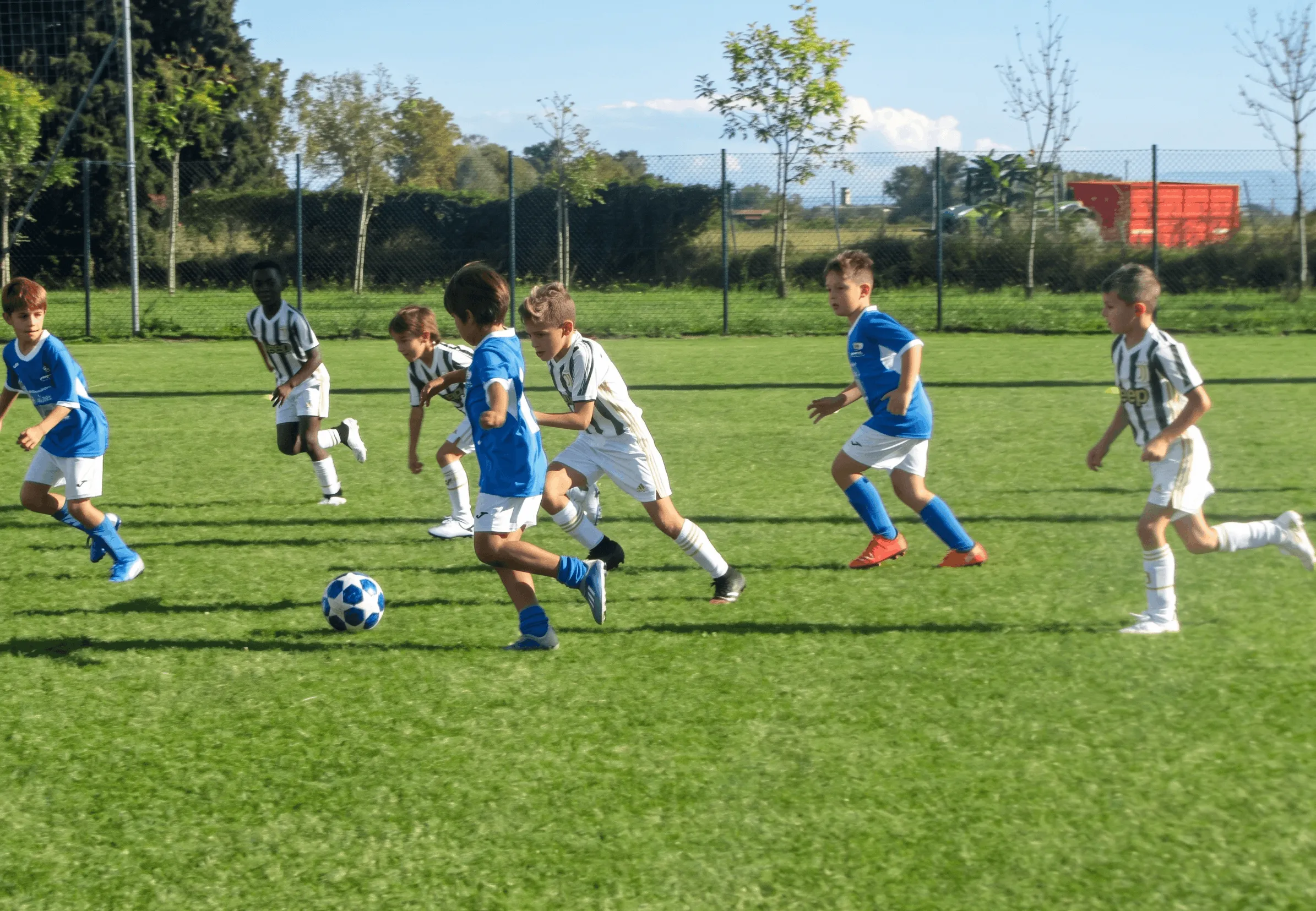 Calcio