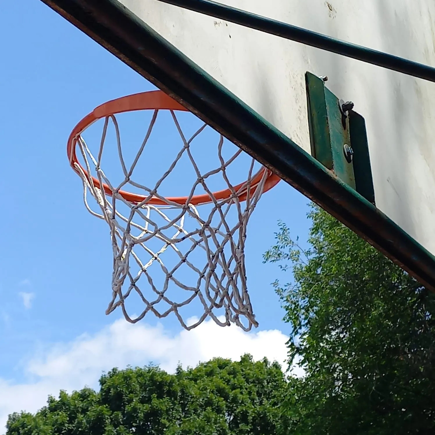 SG Sport Arese Basket: La Stagione 2026/27 Completa Il Sogno
